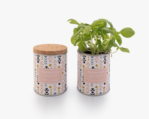 Tin Can Garden- Modern/ Floral